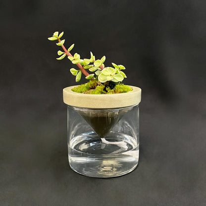 Greenology® Self-watering Planter Bonsai