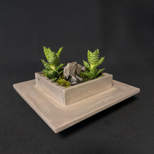 Greenology® Square Ikebana Vase