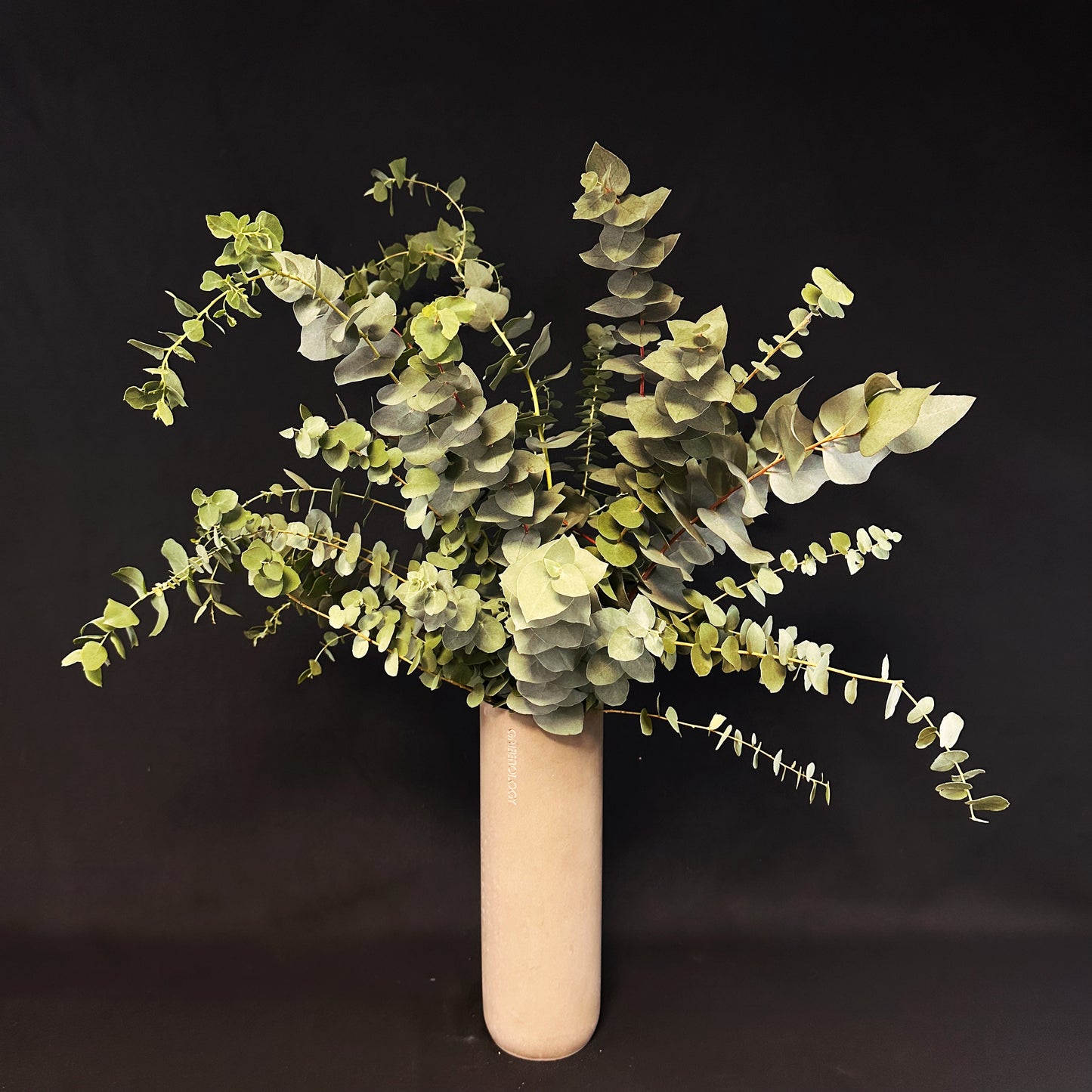 A simple yet elegant eucalyptus arrangement in a modern ceramic vase, perfect for home decor.