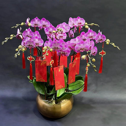 Ornate purple orchids with traditional red envelopes, perfect for festive celebrations and good fortune.