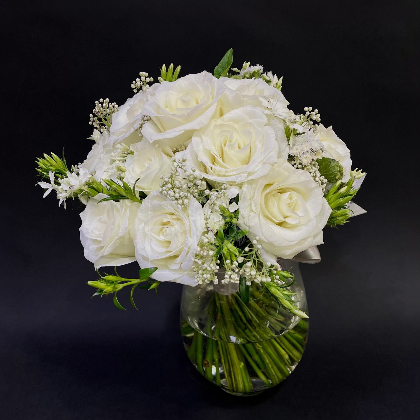 A timeless and elegant bridal bouquet of white roses and baby's breath, hand-tied with a satin ribbon, symbolising pure and classic beauty.